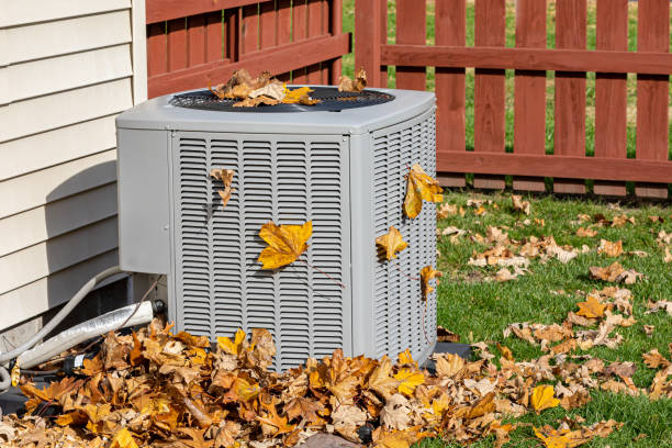 Best HVAC air duct cleaning  in Brocton, NY